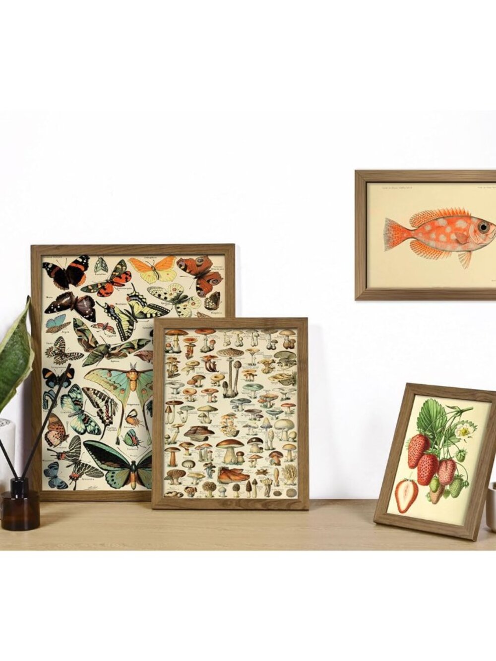 16 PCS Framed Vintage Wall Art Decor, Botanical Cottagecore Wall Prints for Bedr - Picture 2 of 7